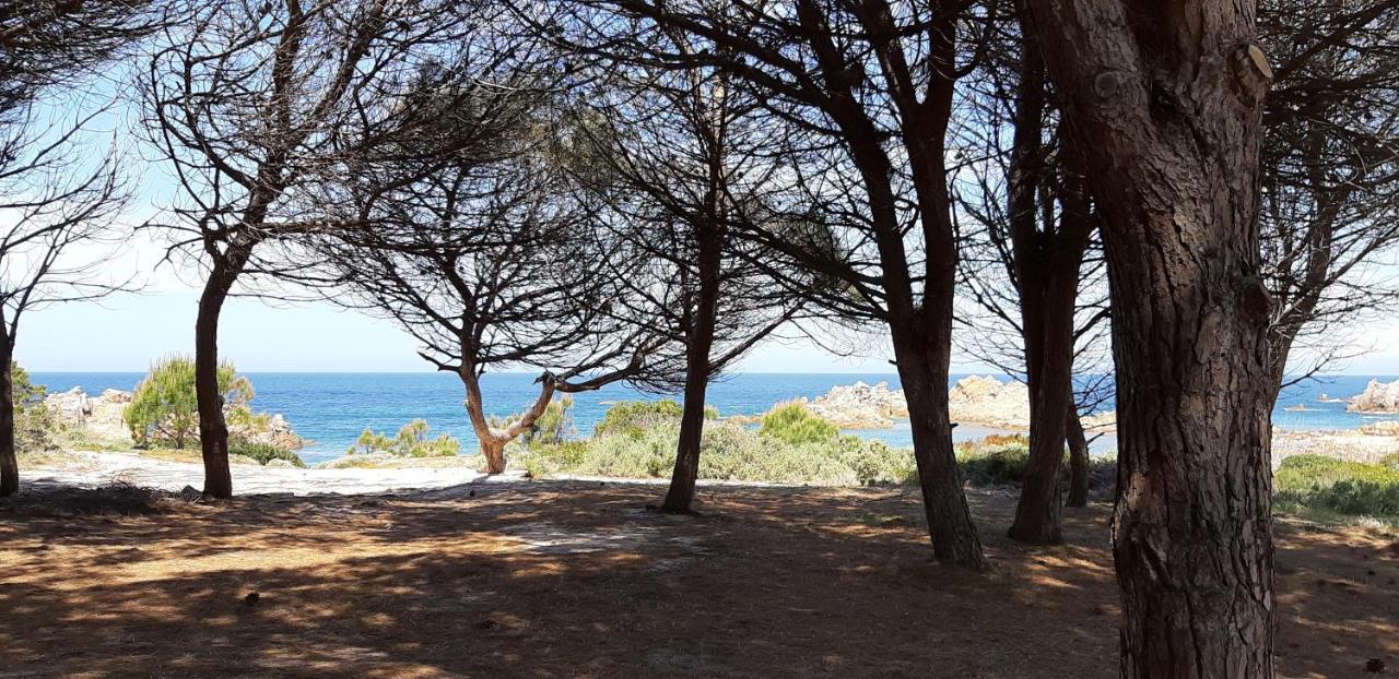 Mare Natura Confort... Il Mio Paradiso In Sardegna 罗萨岛 外观 照片